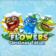 Flowers Christmas Edition