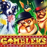 Gamblers5men game screenshot